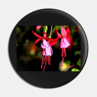 Red & Mauve Fuchsia Pin