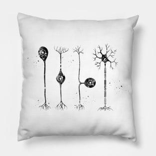 Four types of neurons Pillow