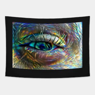 Squinting Eye of the Refracted Rainbow Tapestry