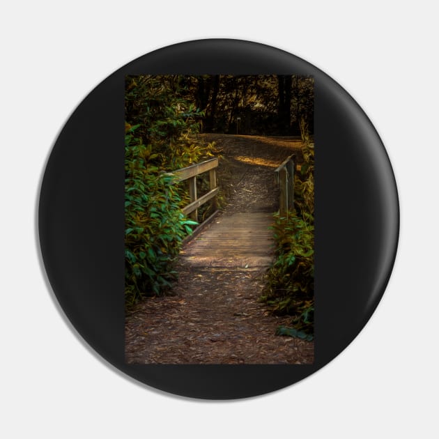 A Wooden Footbridge In The Woods Pin by IanWL