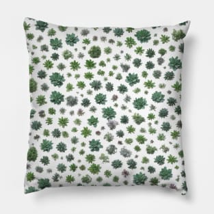 Chromatic Botanic Abstraction #85 Pillow