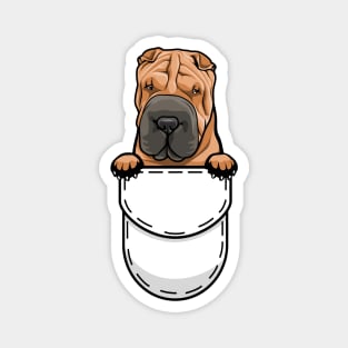 Funny Shar Pei Pocket Dog Magnet