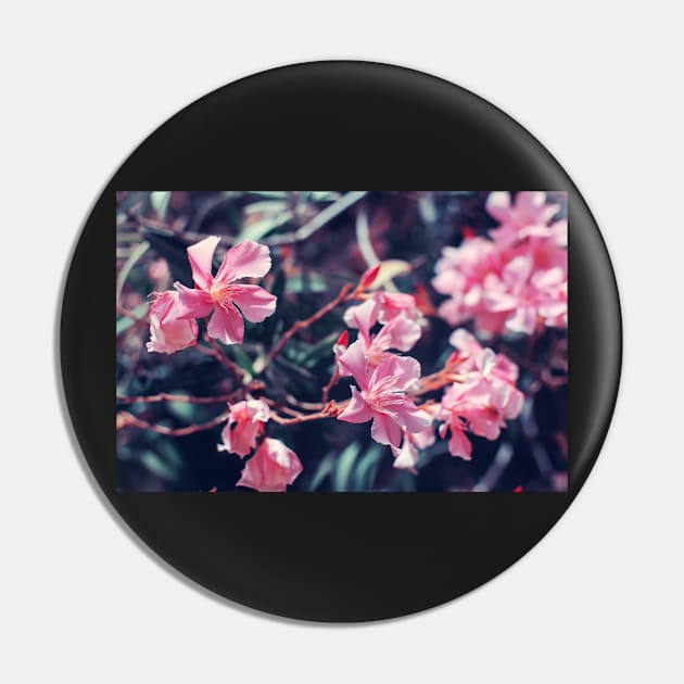 Pink Nerium oleander flower Pin by lena-maximova