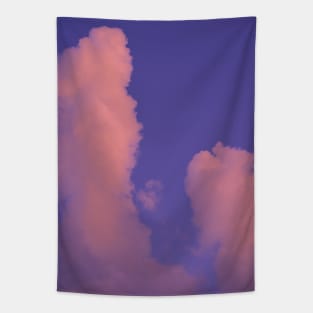 Smoke Cloud - Purple Tapestry