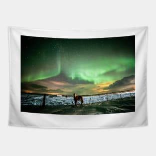 Icelandic horse under the northernlights. Tapestry