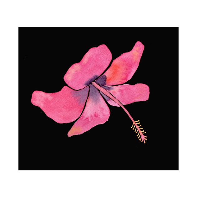 Pink Tropical Hibiscus Watercolor Illustration with a black background by Sandraartist