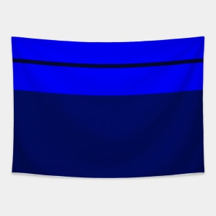 A supreme joint of Sky Blue, Blue, Darkblue and Dark Navy stripes. Tapestry