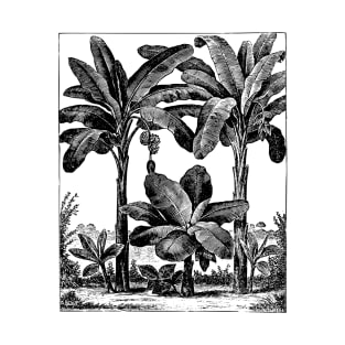 Vintage Banana Trees T-Shirt