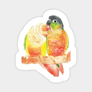 green cheeked conure lover watercolor Magnet