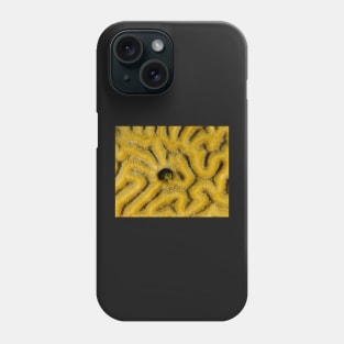 A Blenny Peeking Out of Brain Coral in Curacao Phone Case