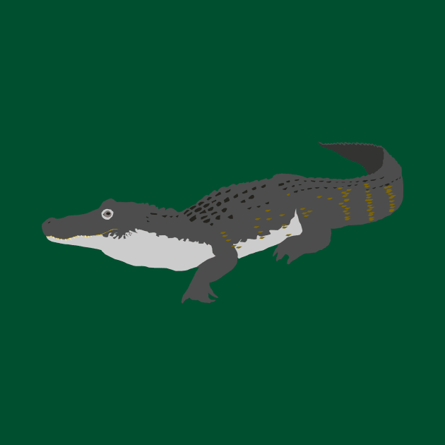 American Alligator by stargatedalek