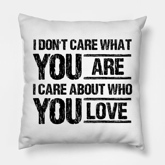 i don't care what you are i care about who you love Pillow by bisho2412