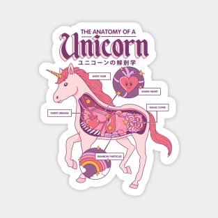 The Anatomy of a Unicorn - Double Sided Magnet