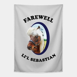 Farewell Li'l Sebastian  |  Parks and Recreation Tapestry