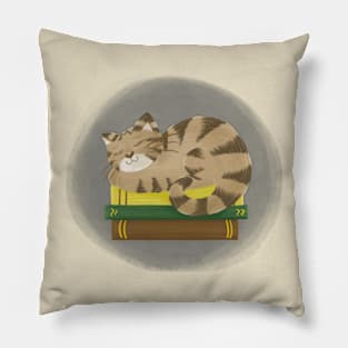 Cute cat sleeping on books Pillow