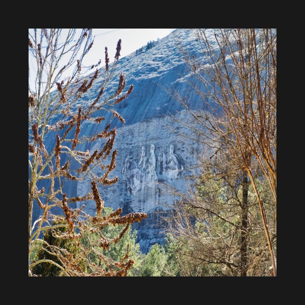 Stone Mountain, Georgia by puravidavisions