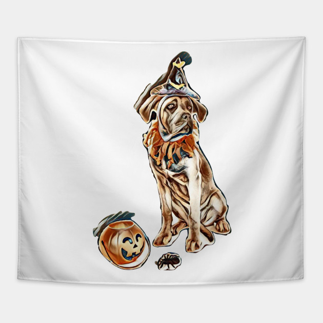 Animal Brown Cane Corso Dog