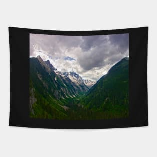 Rocky Mountian Valley Tapestry