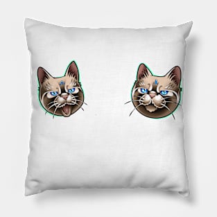 Two funny cat Pillow