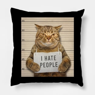 vintage cat mugshot Pillow