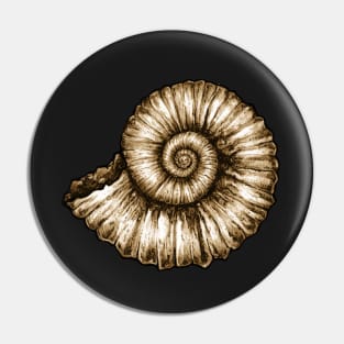 Ammonite Fossil Pin