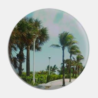 Palm trees photo Miami Florida blue sky palmtree landscape USA nature lovers Pin