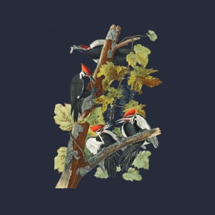 Pileated Woodpecker from Birds of America T-Shirt