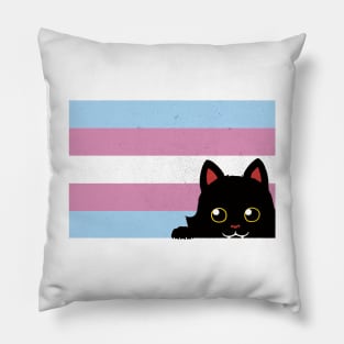 Peeking Cat Trans Flag by Tobe Fonseca Pillow