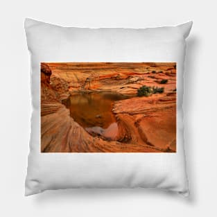 Northern Arizona Desert Oasis Pillow