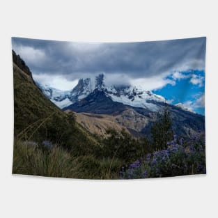 Cloud covered mountain Tapestry