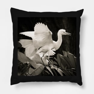 Cattle egret courtship display Pillow