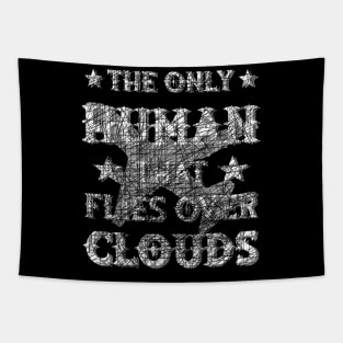 Pilot Plane Flying Clouds Paragliding Skydiver Tapestry