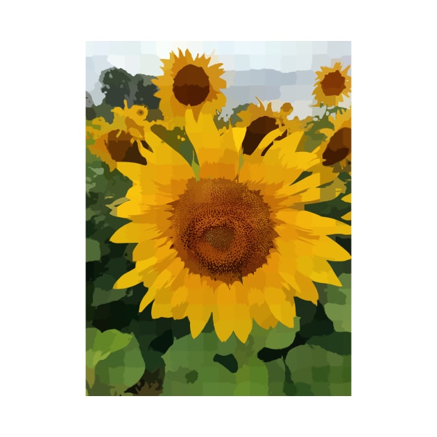 Sunflower by Gourmetkater