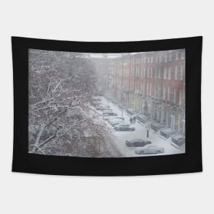 Dublin Snow Tapestry