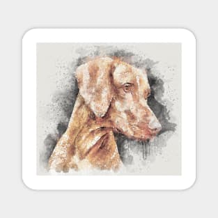 Vizsla head watercolor, Dog head watercolor Magnet