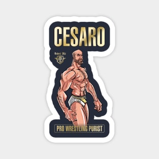 Cesaro Magnet