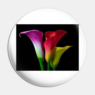 Three Colors Calla Lilies Pin