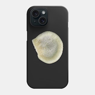 Bell pepper seed under the microscope Phone Case