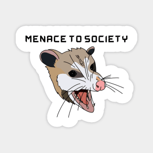Menace Possum Magnet
