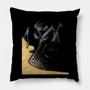 Black dog Pillow