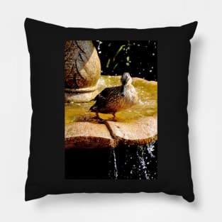 Splish Splash Pillow