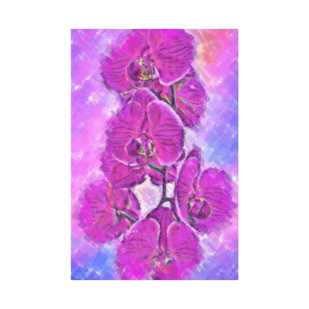 Pink And Purple Orchid by KirtTisdale