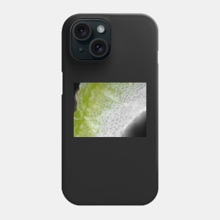 Carrot stem cells under the microscope Phone Case