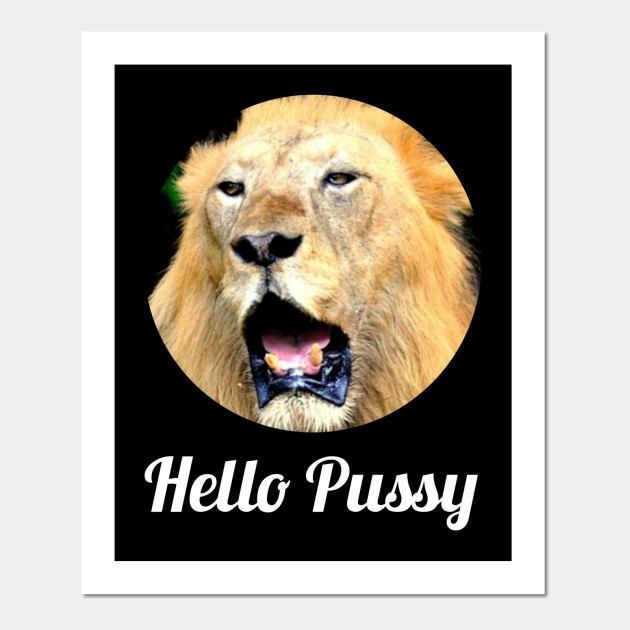 Hello Pussy Lion Lions Cat Cats