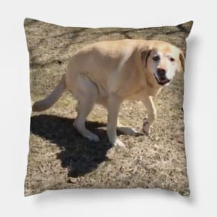 Yellow Lab Pillow