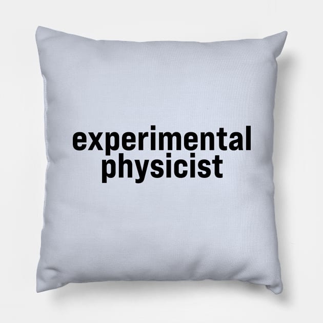Experimental Physicist Pillow by ElizAlahverdianDesigns