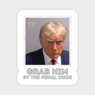 Trump Mugshot Booking Photo Arrest Grab him by the Penal Code Magnet