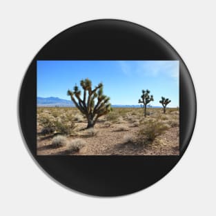 Joshua Trees in the Mojave Pin