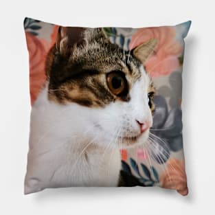 Lady Cat Pillow