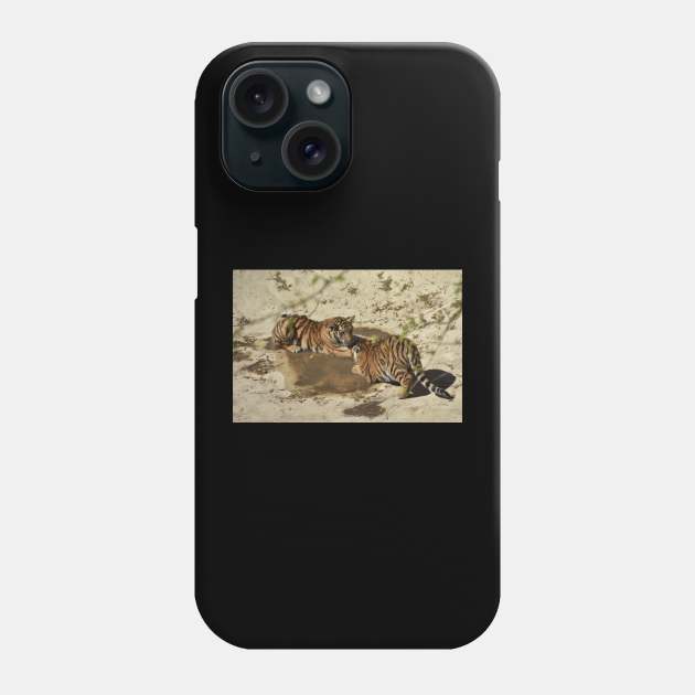 Tiger Cubs Phone Case by MarieDarcy